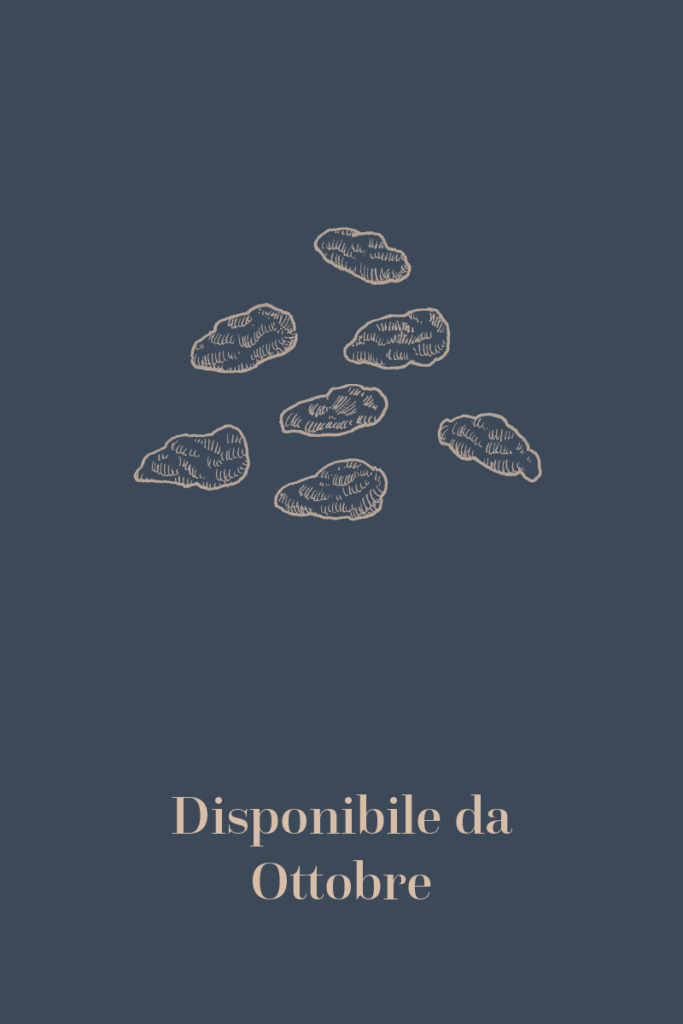 Tavola disegno 1
